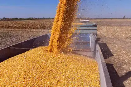Grain Cart